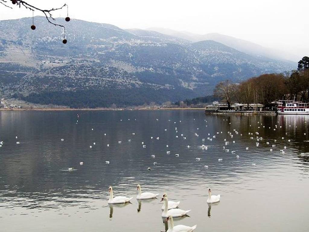 Στο σκοτάδι βυθίστηκε η μισή πόλη των Ιωαννίνων λόγω κακοκαιρίας